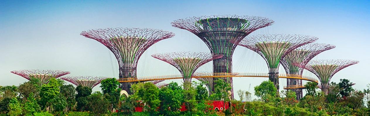 du-lich-singapore-garden-by-the-bay-avitour