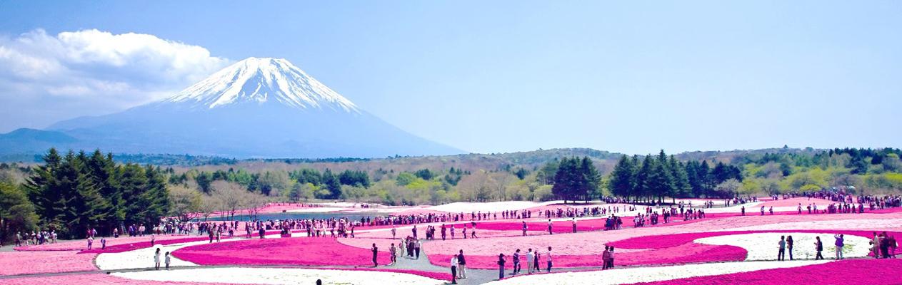 canh-dep-cua-nui-phu-si-nhat-ban-avitour-1