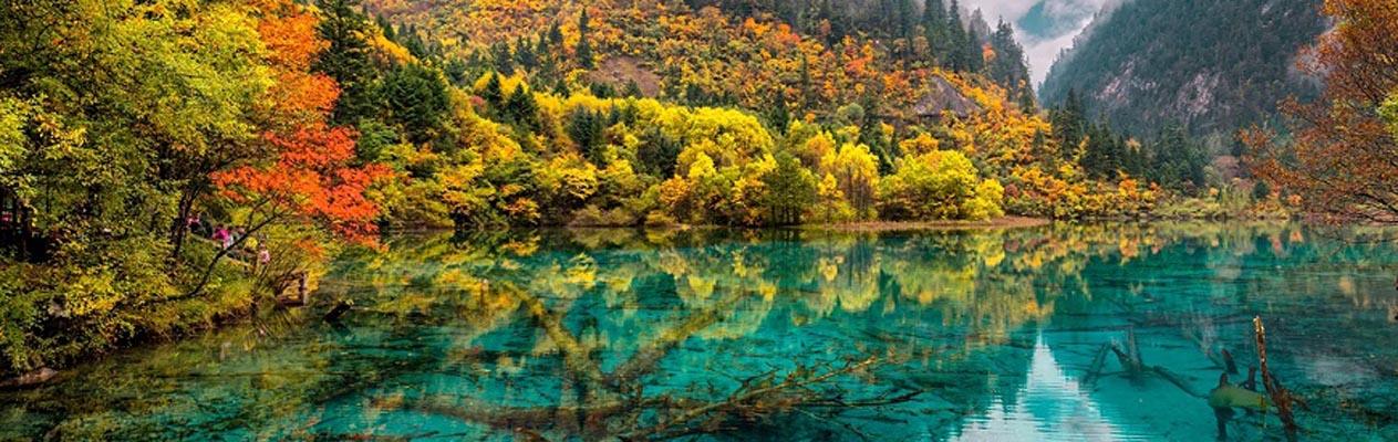 du-lich-cuu-trai-cau-2017-avitour-